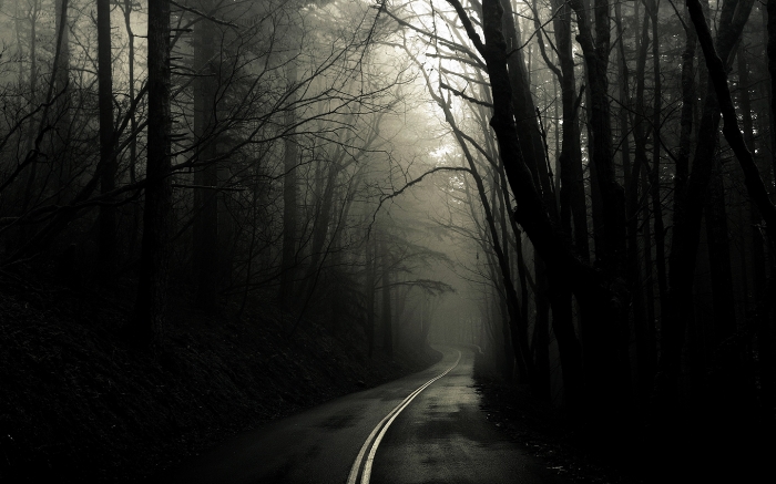 normal_Scary-Forest-Road-1440x900