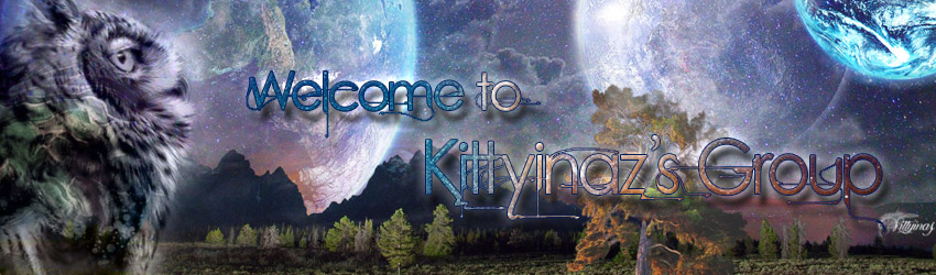 kittyinaz-owl-banner-1