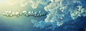 Reblog winter 3