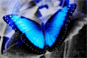 absolem_butterfly__by_xthebrunorgasticx-d5fj8h8