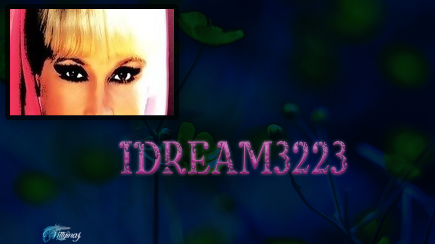 idream3223 1